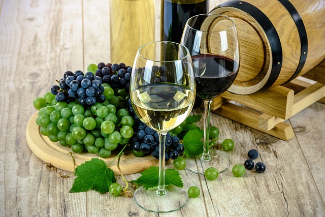 Weinberg mit Reben im Abendlicht