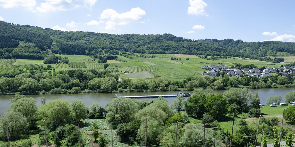 Weinberge an der Mosel oberhalb des Flusstals